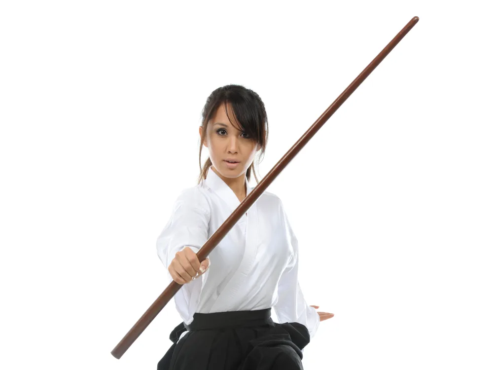 Aikido - Martial Art Type