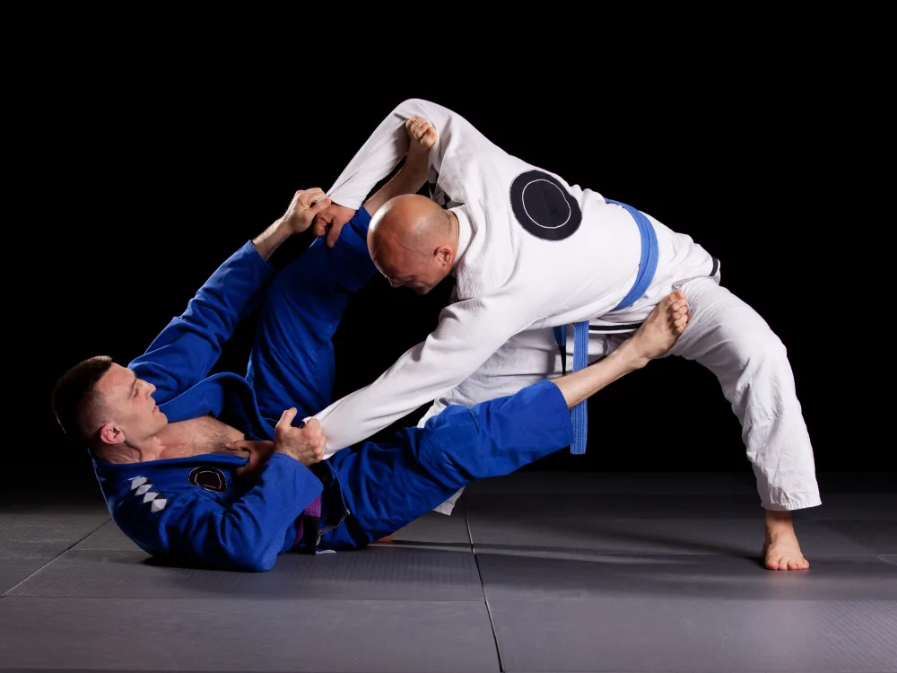 Brazilian Jiu-Jitsu - Martial Art Type