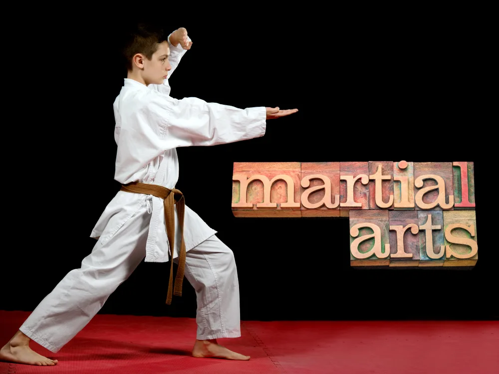 Kid performing Martial Arts